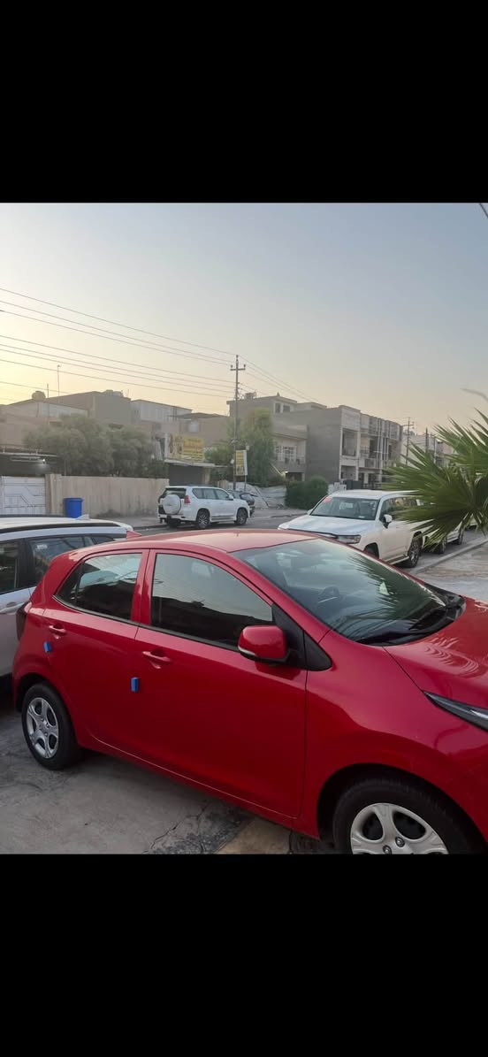 بيكانتو • ٢٠٢٤ • رقم أربيل