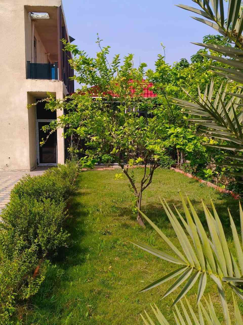 مزرعة للبيع
مزرعة مرسى دجلة مزرعة للبيع الزعفرانيه على ضفاف نهر دجله شاطئيه جاهزه مجهزه للايجارات اليوميه واردات خير من الله حالياً تشتغل المزرعه بنظام الشفتات عقد 117... مع إطلالة على نهر دجله...
للاستفسار التواصل على الواتساب او الاتصال

***********
