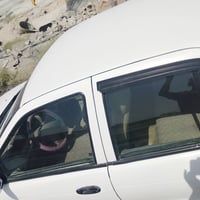 سيفا • ١٩٩٤ • كير عادي