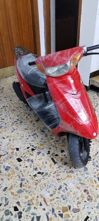 عصفوريه بلاديه • سلف • مدينه الصدر