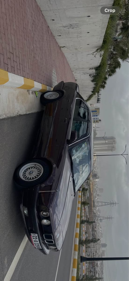 ١٩٩١ • كهربا كامل • زينون