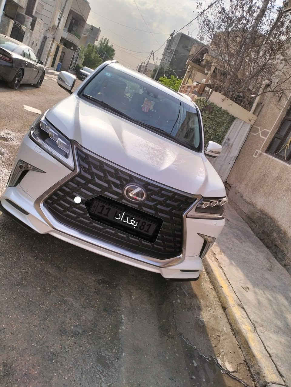 بريم اصلي • ٢٠٢١ • ٥٣ ألف