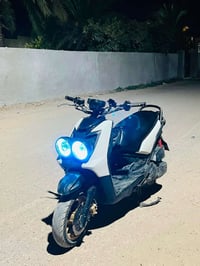 سكنس جبلي • ٢٠١٠ • أوراق كامله
