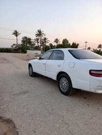 شيزر • ١٩٩٣ • رقم كربلاء