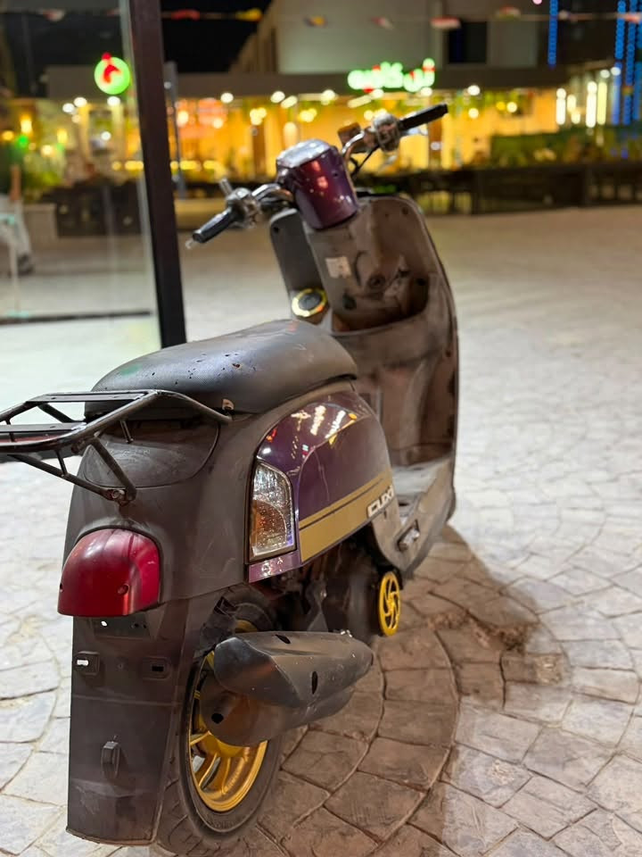 ماكس بوليس • ١٢٠ • ناشفة