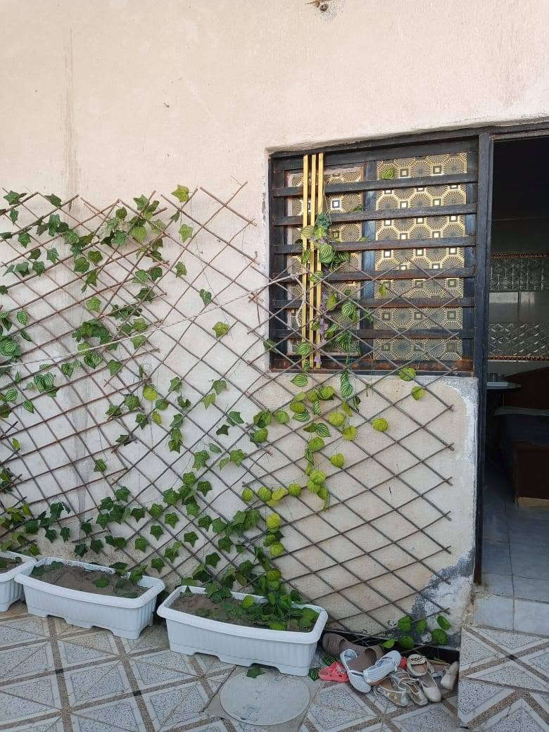 دار للبيع 

#المساحه 140متر 

البناء بلوك كونكريت 

تفاصيل الدار عدد الغرف النوم 2
وا دوانيه
وا وصاله
وا مطبخ 
وصحيات داخلي وخارجيه
معا كراج
معا مغاسل2
معا سخان المياه
معا خلاطات
معا خزانات المياه 2

جنس العقار طابو ملك زراعي 🌴

العنوان البصره 

شط العرب الجزيره 
باب الهوى نزلت الساده قرب متنقله
 
ا#السعر 70مليون 

للاستفسار تواصله معنا 
هاتف 📞🇮🇶 *********** شط العرب, البصرة
