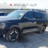 تيلورايد EX • ٢٠٢٥ • مرقمة بغداد