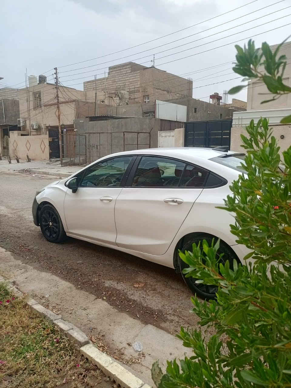 شفرليت كروز • ٢٠١٩ • معوقين