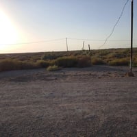 ٤ دونم • بيت ٢٠٠م • بستان ٥٠ نخلة