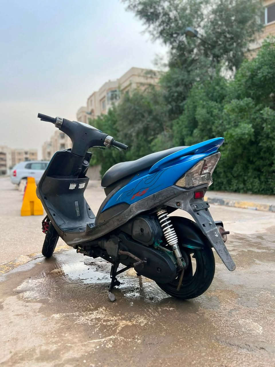 ماكس عدله • كارتون • كفاله عامه