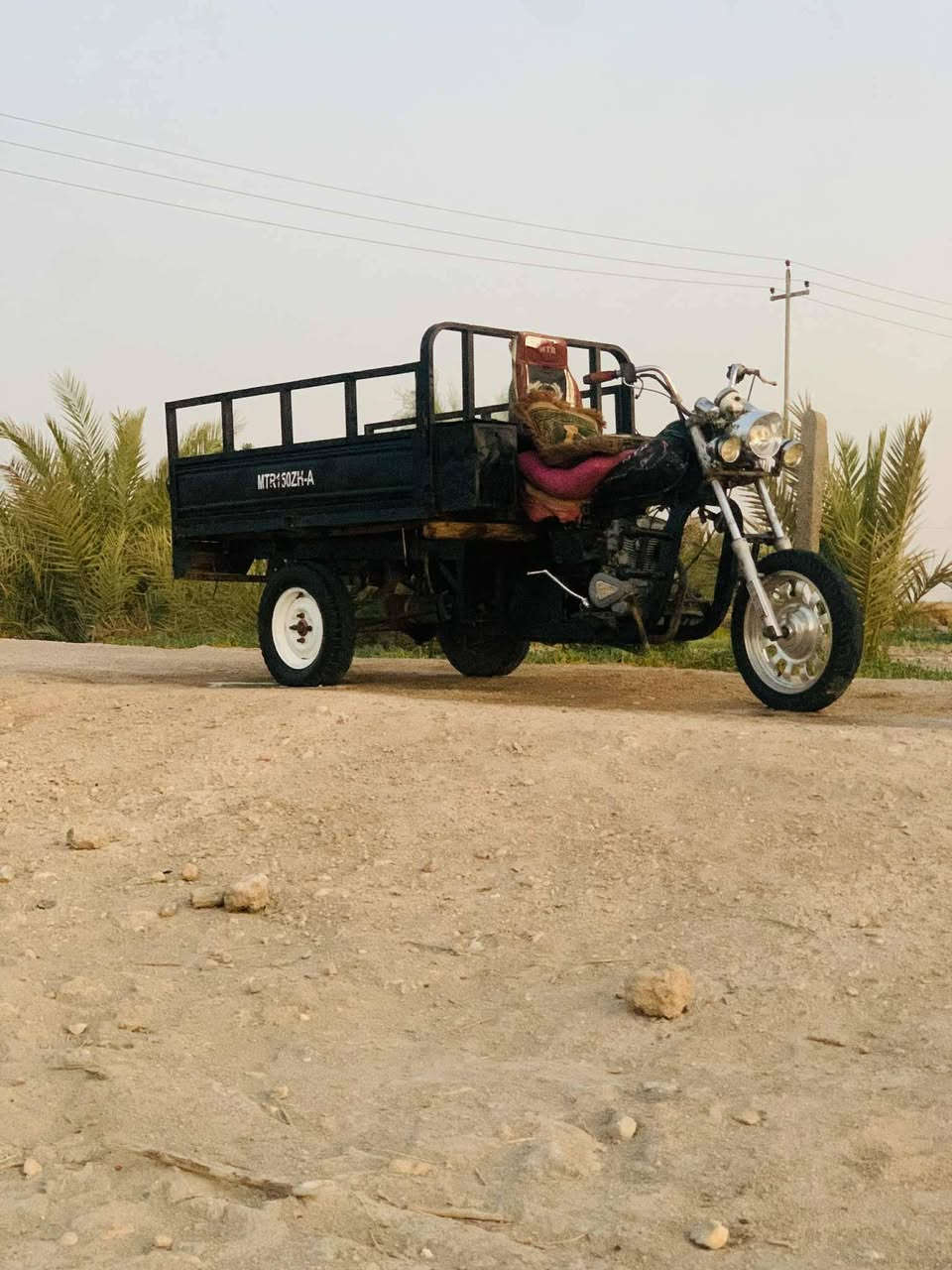 ستوته كلك • ٢٠١٦ • شاصي مگفول