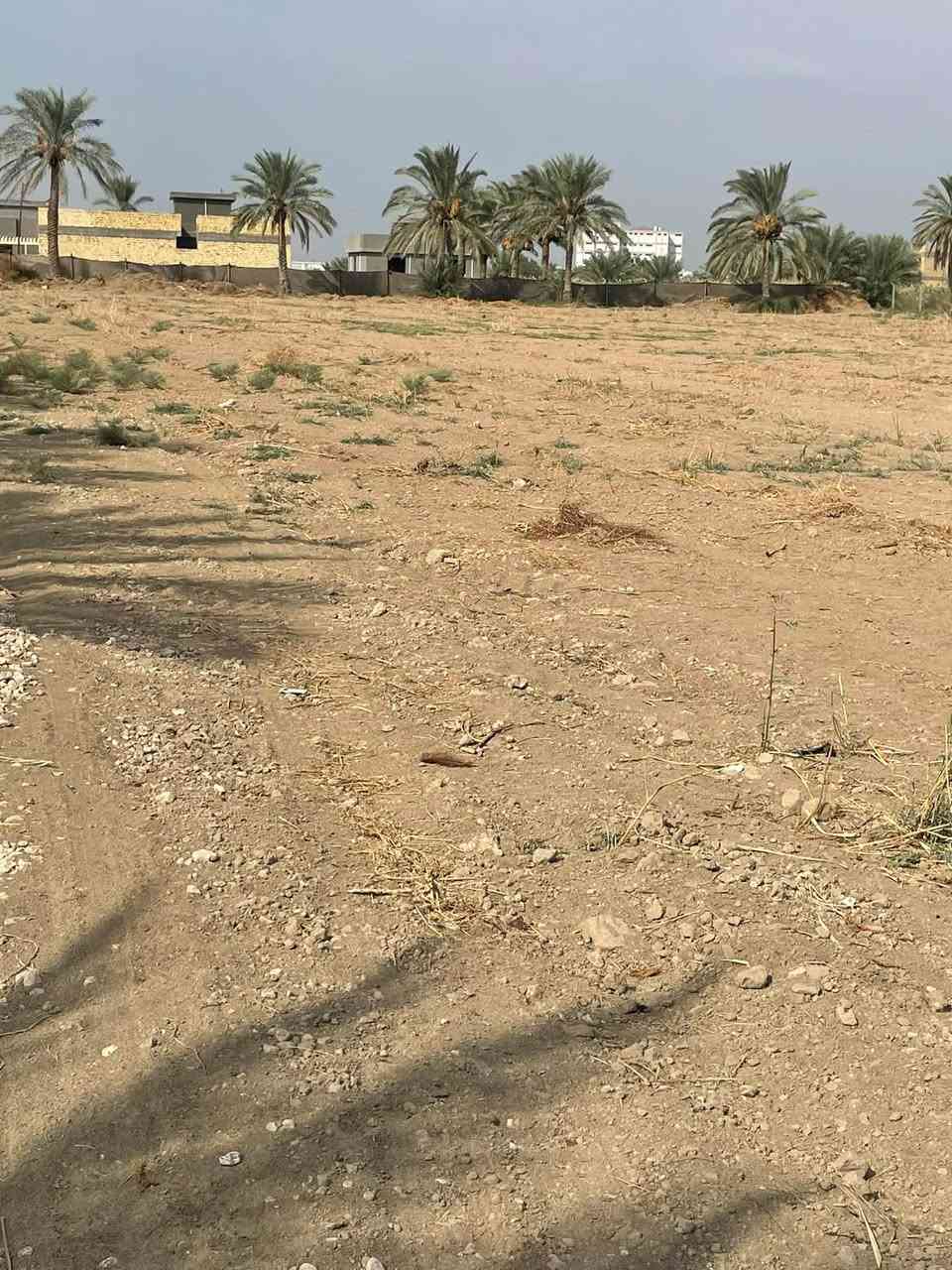 سند ٢٥ • ٥٠٠٠م • خلف الببسي