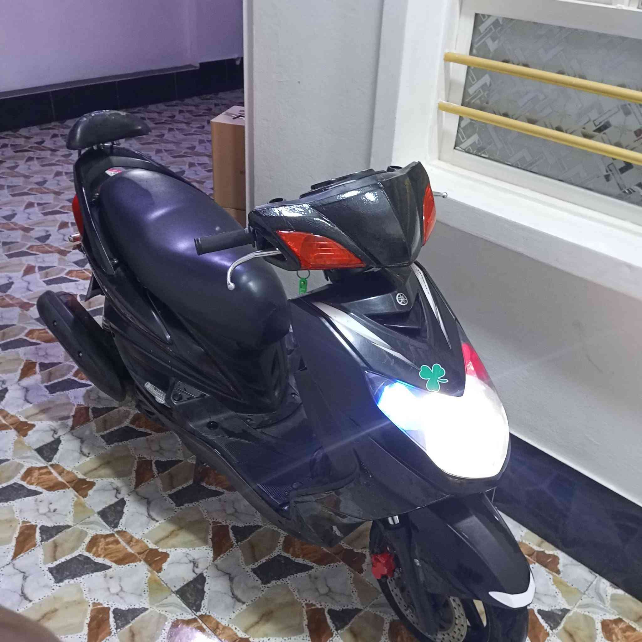 سكنس فحل • ياباني • مراوس
