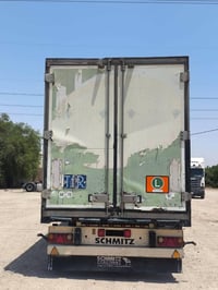 براد شمتز • سمك ٥ • واسط دبوني