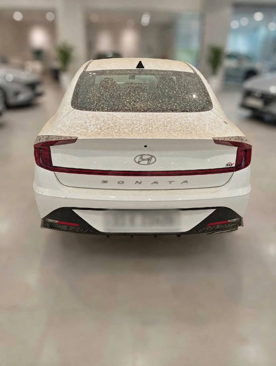 سوناتا SEL • ٢٠٢٣ • رقم بغداد