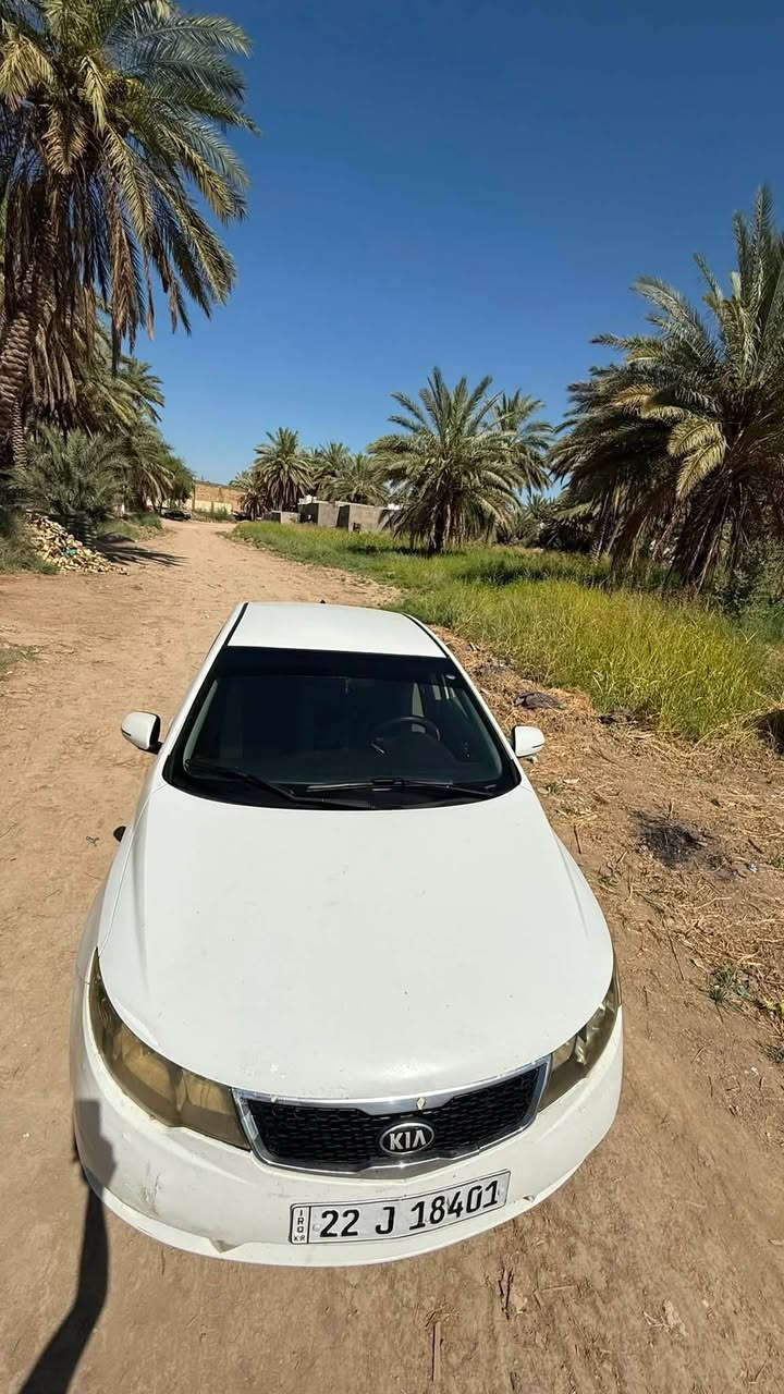 سيراتو 2011 خليجي 
بيه بارد جاملغ خلفي ايمن والايسر 
وبارد كد شبر بالبنيد بدون اي اضرار بالداخل 
وبدون صبغ 
رقم اربيل 
وكاله باسمي 
مكينه بيه خيط بخار 
الكير سليم 
العنوان كربلاء طويريج 
السعر 88$ وبيه مجال 
رقم التواصل ***********
