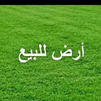 المستصلحه قاطع ٣٦ • بيت سيد جواد • ١٥٠ دونم