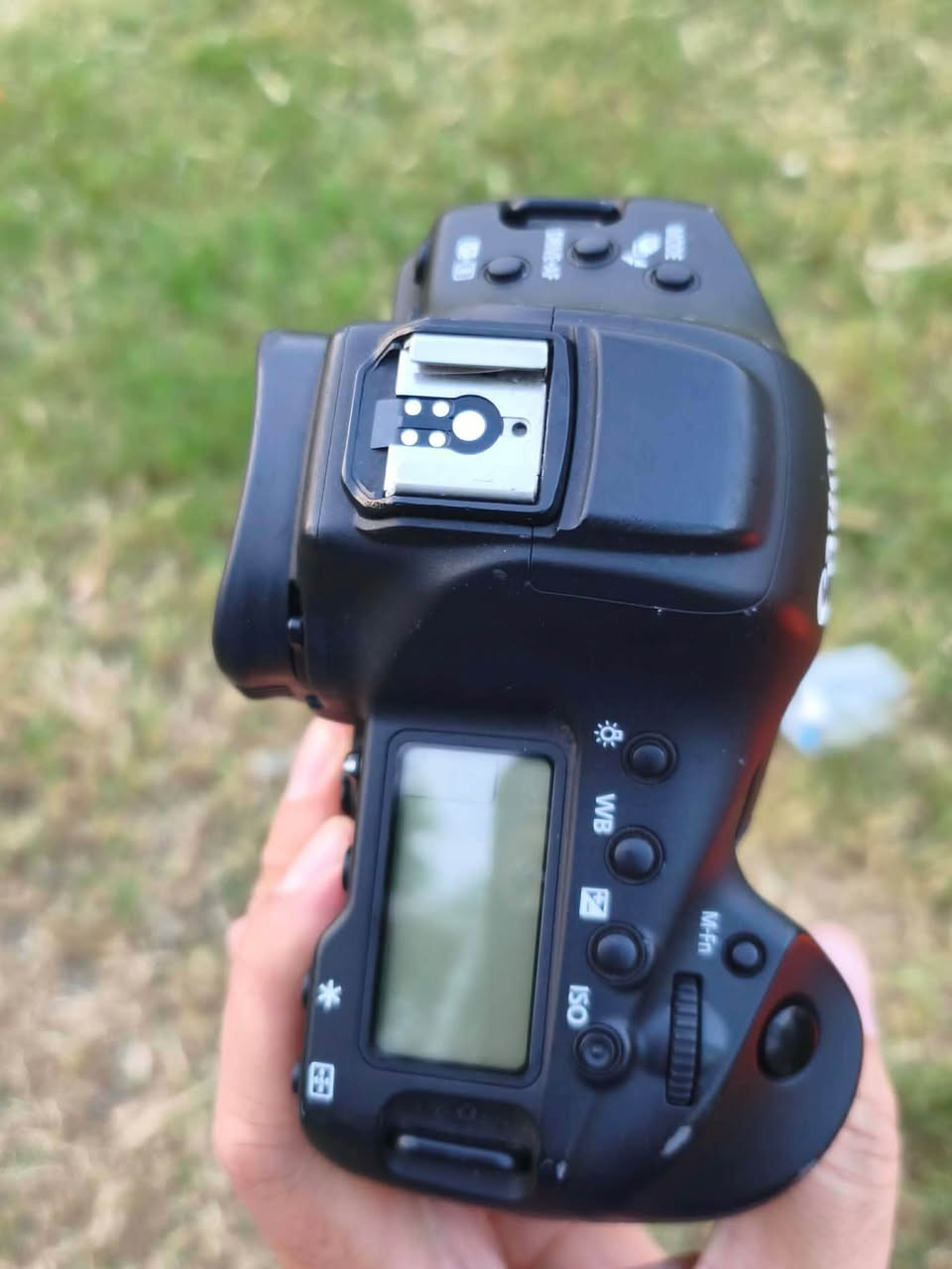 1D X Mark II • حسب الصور