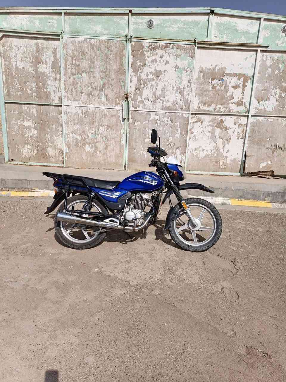 هوجي زراعي • دشبول مكسور • نشاط ونعومه فول