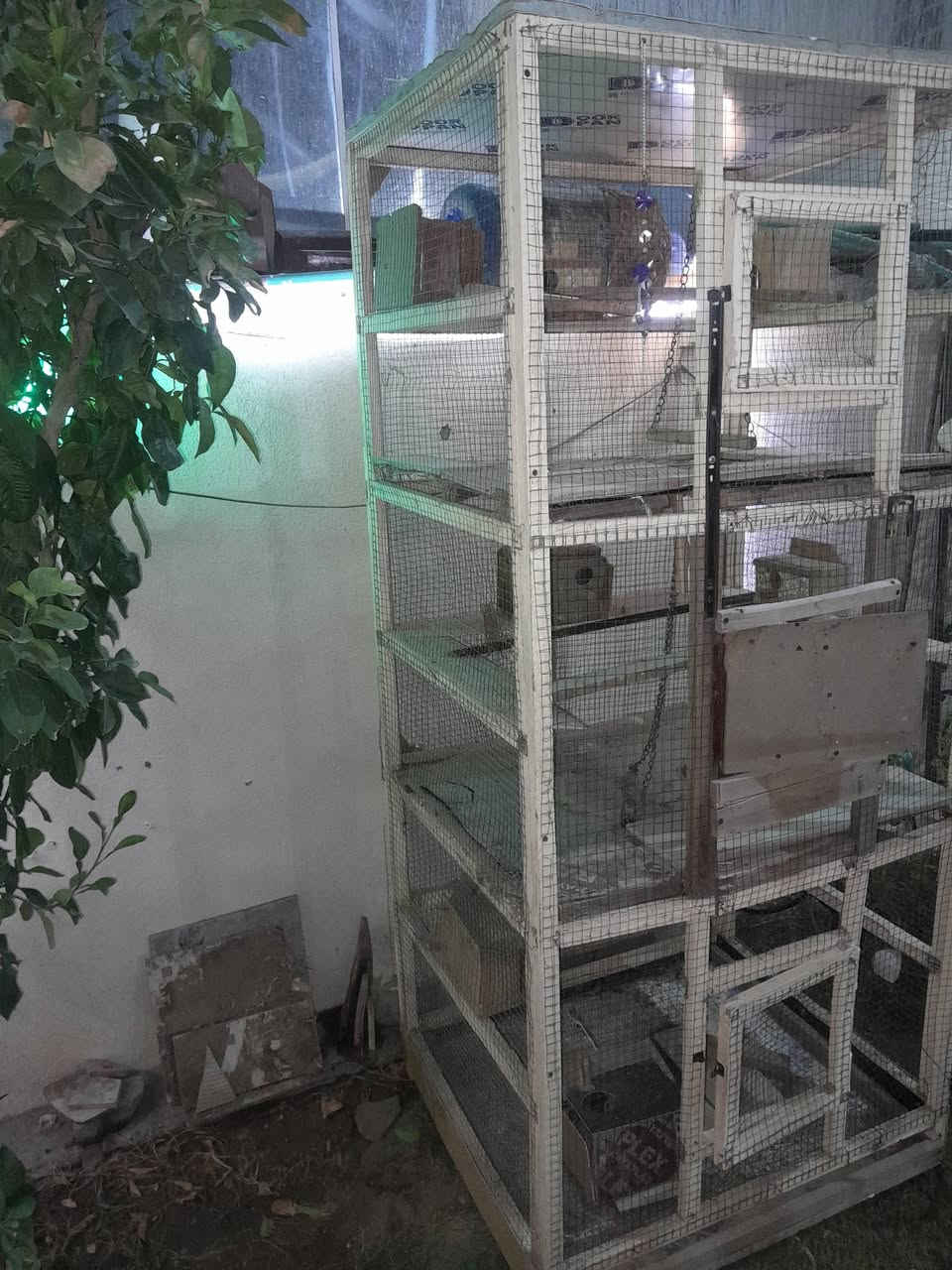 السلام عليكم 
قفص طيور للبيع 
بي 3 خانات و بيوت بكل الخانات
السعر 35،000 الف وبي مجال 
الارتفاع مترين والعرض ٦٥ والنزال ٨٠
للتواصل  ***********
