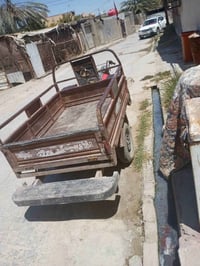 موديل ١٦ • أوراق أصلية • محاويل