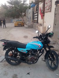 شاينك • مرقم • ٢٠٢٣