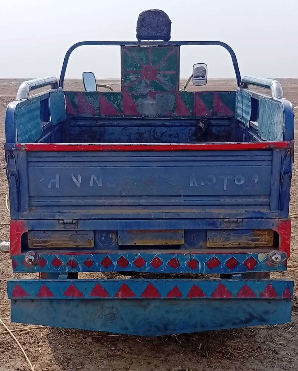 ستوته • ٢٠٢٠ • مكفولة