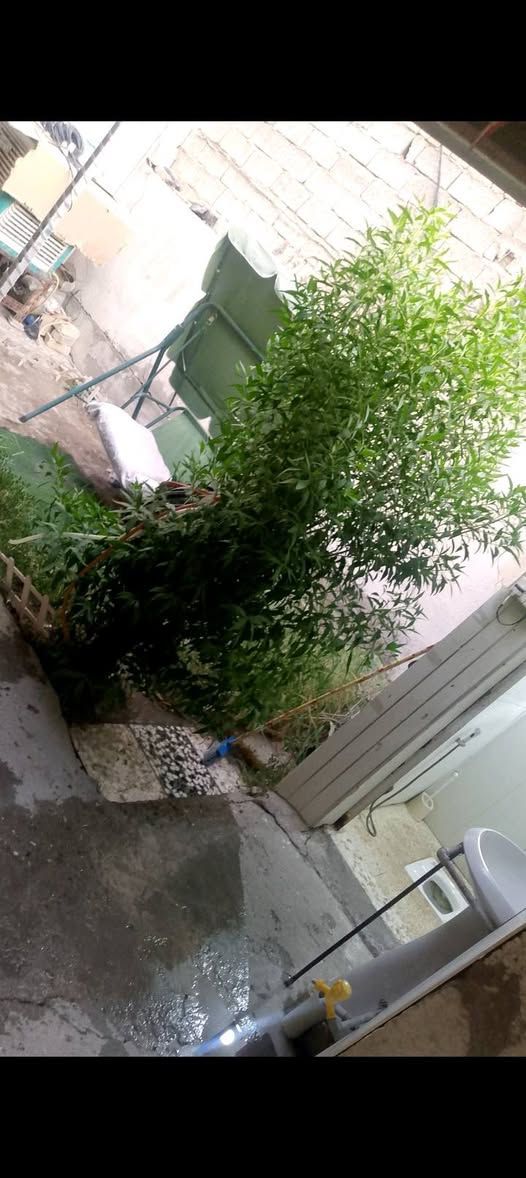 السلام عليكم للاستفسار ‏‪***********‬‏
