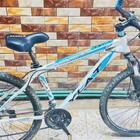باسكل • بالحبوبي