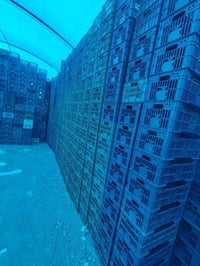 سنفورية • أكثر من٢٥٠٠ • للبيع