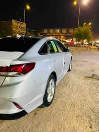 وارد كوري • ٢٠٢٢ • رقم ربيل