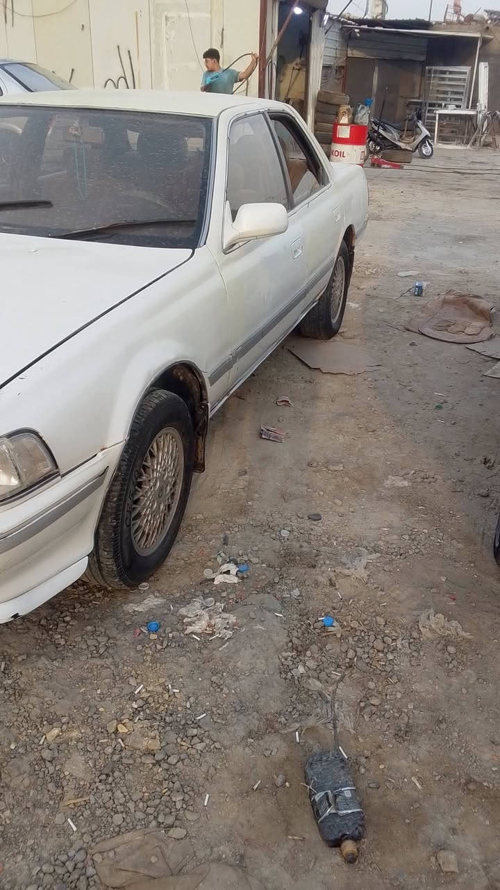 كرسته • مكفولة • الگير تعبان
