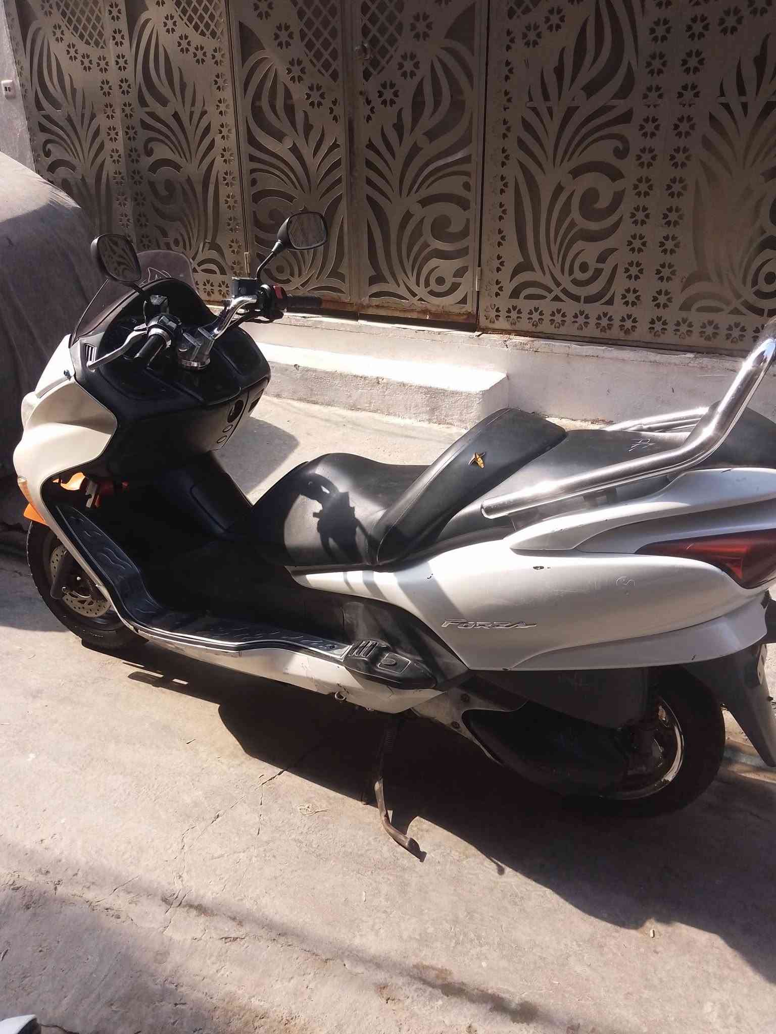 فورزا • زيرو • زنون