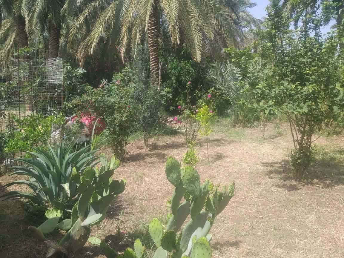 يالله يارزق 
🏡 بيت وأرض زراعية للبيع
📍 طريق الشافعية قرب الفوج التكتيكي
📐 المساحة الكلية 600م
🏠 مساحة البناء 200م
🌿 حديقة جانبية 400م
البيت يتكون من غرفتين نوم وصالة وبراني ومطبخ وصحيات خارجية وممرات داير البيت.
📄 زراعي سند 25
💰 السعر نقد 80 مليون
💵 وعادي أقساط: ينطي نص المبلغ والباقي كل شهر 500 ألف
للاستفسار خاص
