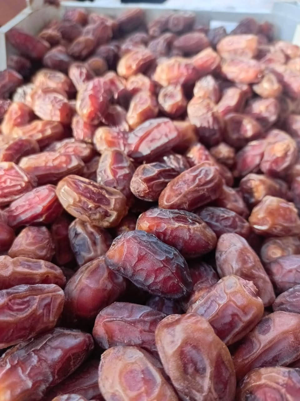 تمر شويثي • درجة أولى • مجبوس ٥كغ