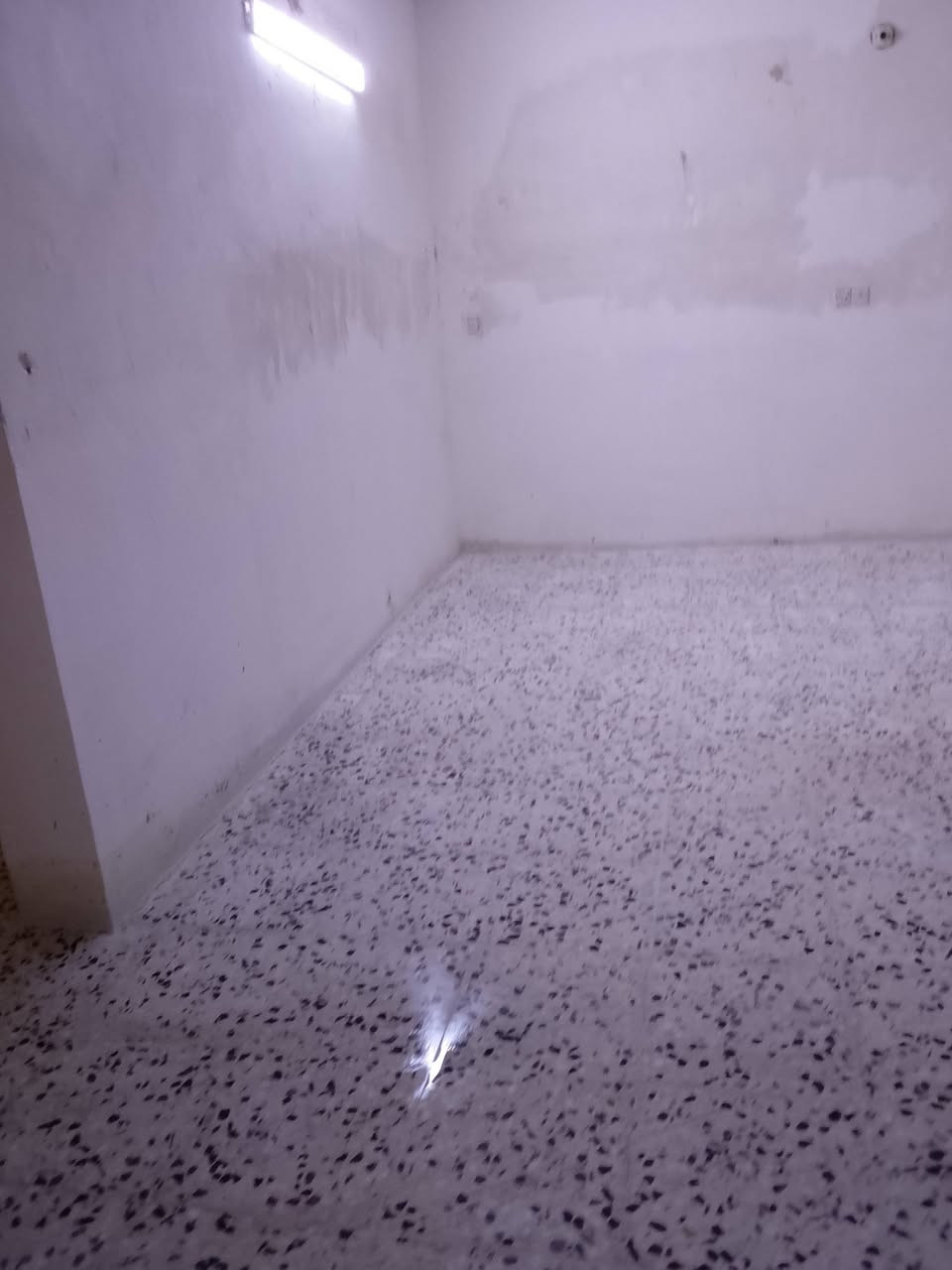 سجاد • زولية