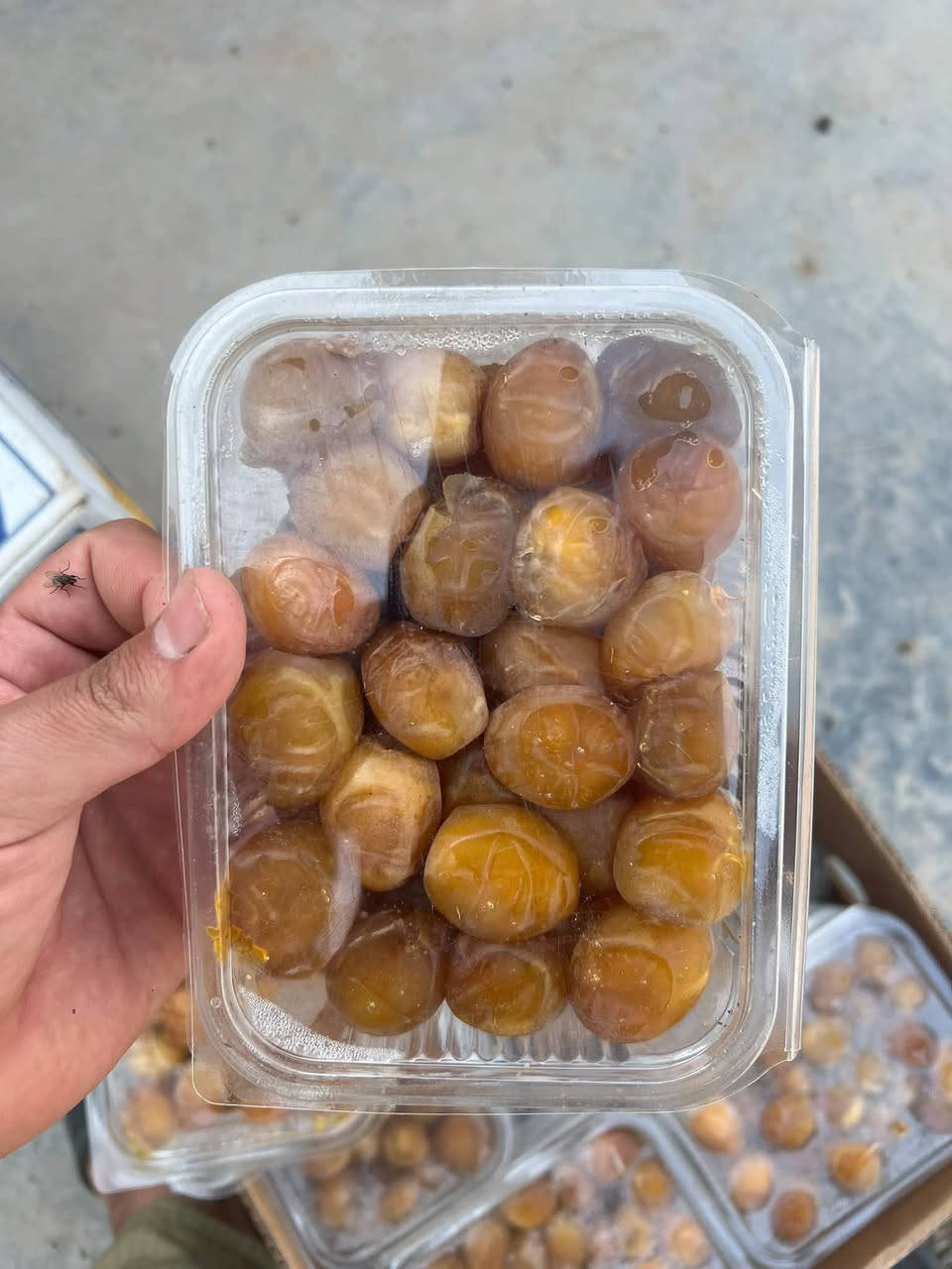 تمر برحي • ٤٠ علبة • اليوسفية بغداد