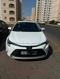 كورلا امريكي • ٢٠٢٤ • بغداد