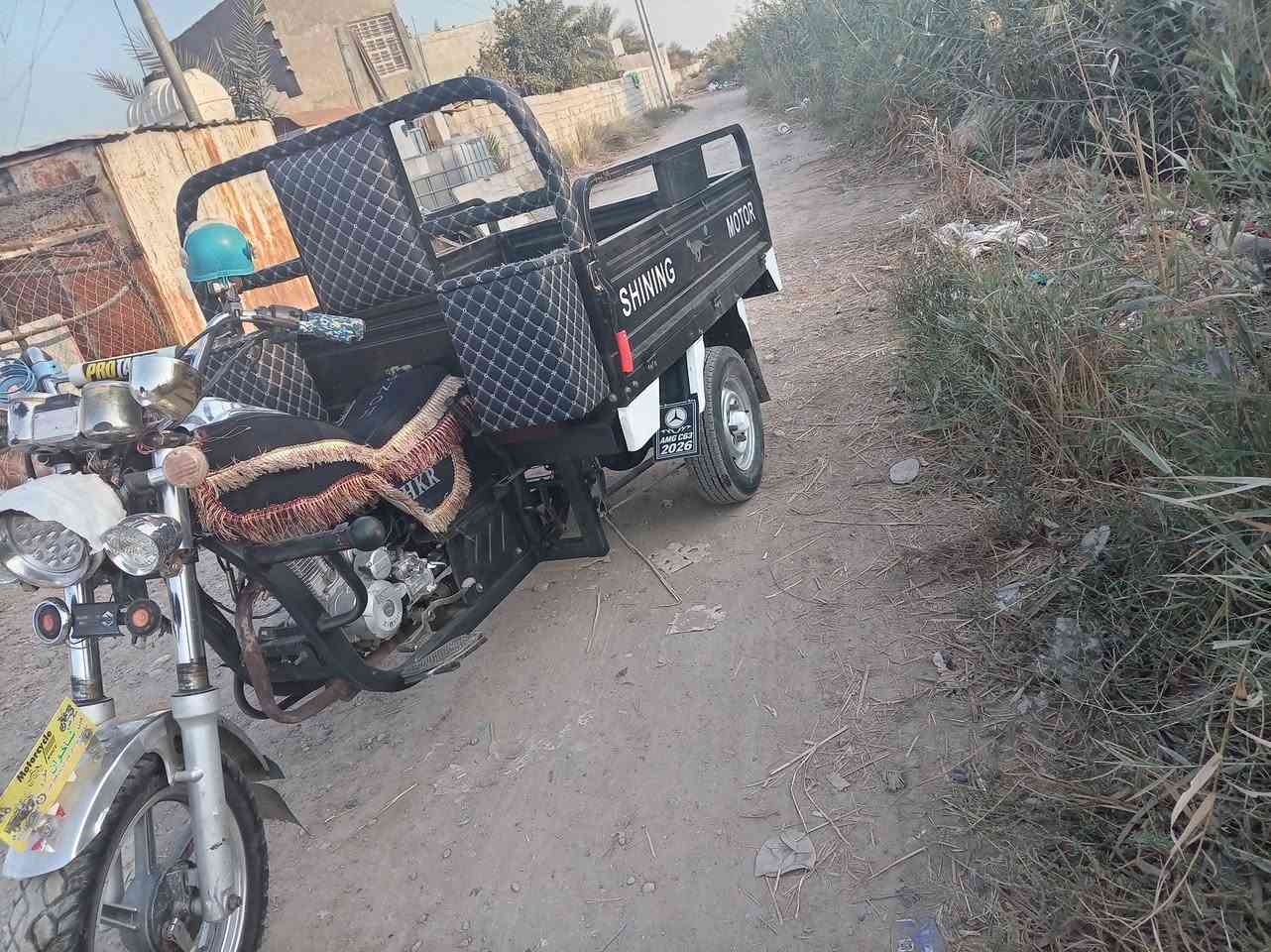 ستوته صقر • ٢٠٢١ • كهربايات شغاله