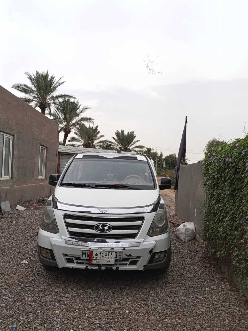 ستاركس • ٢٠١٨ • كفاله من الصبغ