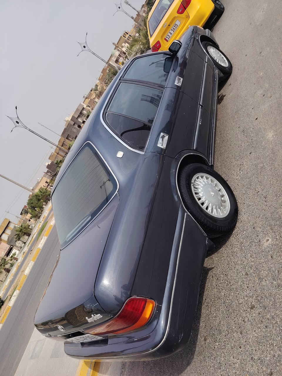 أرنب أيسر • نضيفه • رقم بغداد