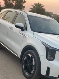 ٢٠٢٤ • ٧ راكب • رقم بغداد