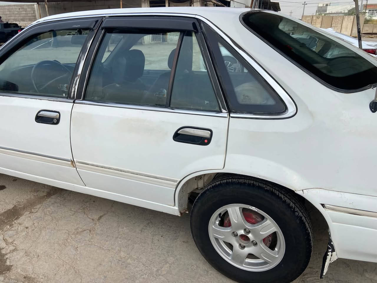 فراشة • ١٩٩٦ • بدون صبغ