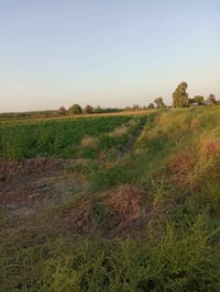 الكارضية • ٨دونم • حصة مائية