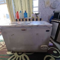 مجمدة • عاطلة • حجم وسط