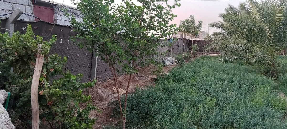 مرخصت مدير.الكروب
السلام عليكم 
قطعة ارض زراعي سند ٢٥ المساحة ٩٠٠م  كما موضح بالصور المرفقة وتحتوي على بأر إرتوازي وماء اسآلة والكهرباء قريبة جدا من الارض تبعد عن الشارع العام ٥٠ متر تقريباً الموقع طريق السنية السياحي قرب مدرسة الاصيل الابتدائية ( الكرفانات) وللاستفسار عن التفاصيل كاملة الاتصال على الرقم ***********.
