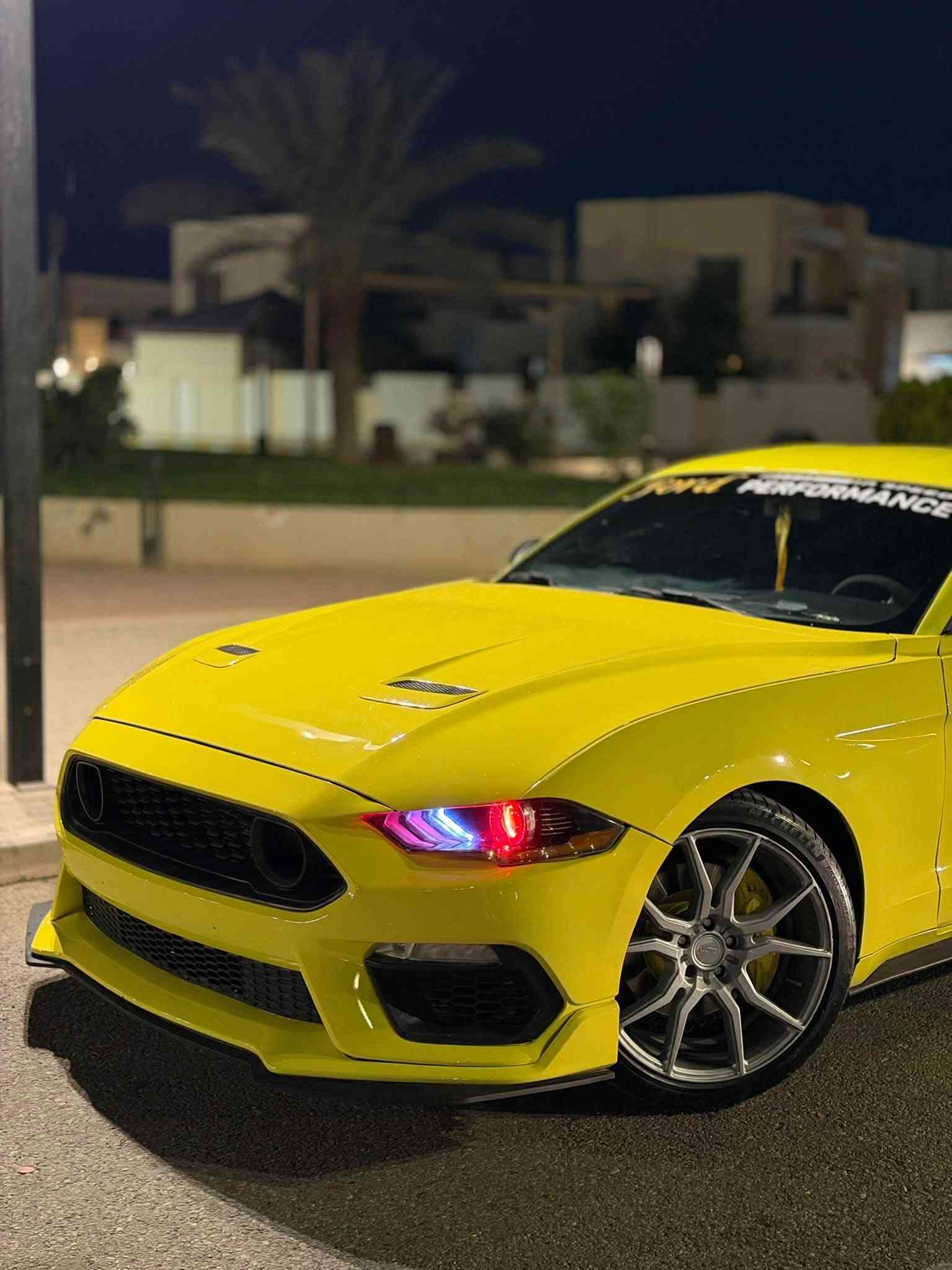 موستانغ GT5.0 • ٢٠١٦ • رقم اربيل