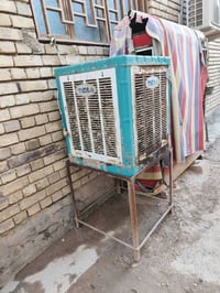 مبرده ثلج • شغاله • كربلاء
