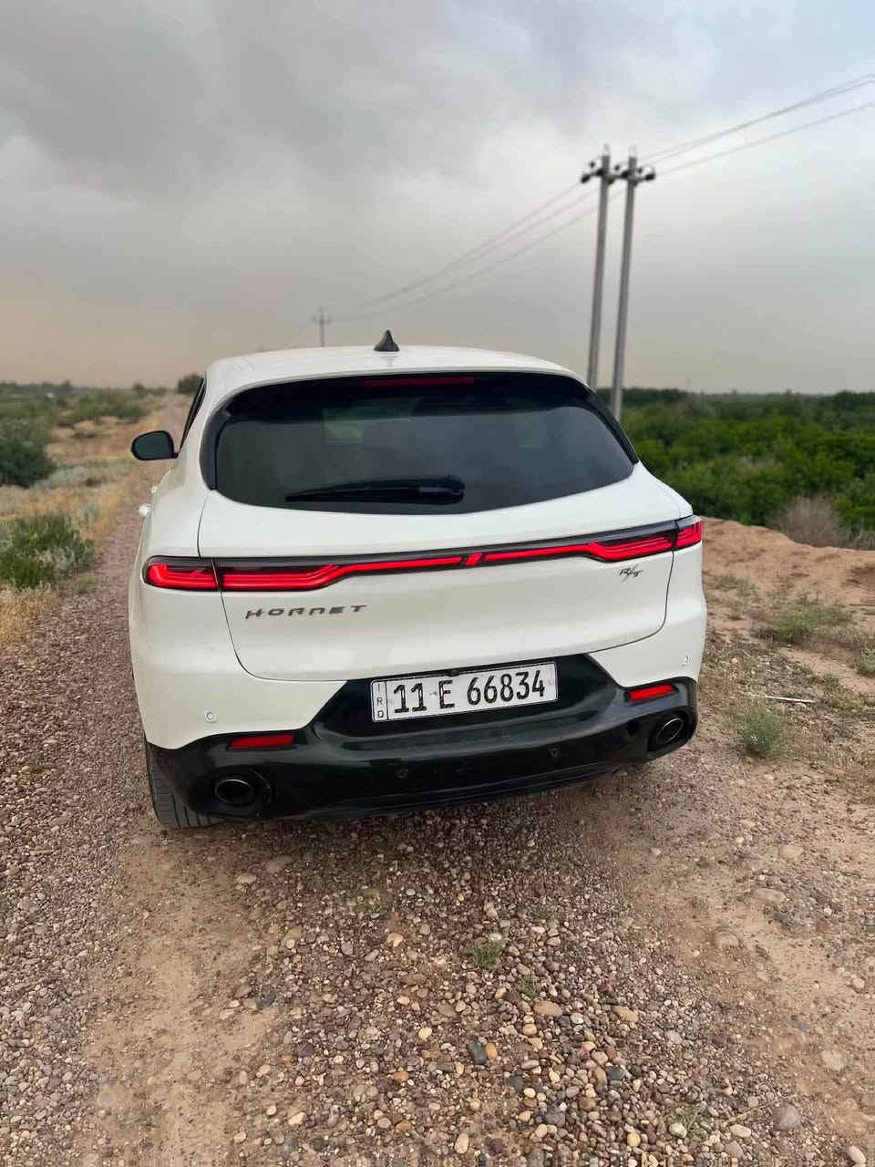 بعد التحيه والسلام 

🔥 للبيع او المراوس– دودج هورنت R/T موديل 2024 🔥

💎 سيارة رياضية هجينة (Plug-in Hybrid) تجمع بين القوة، الأداء، والاقتصاد في استهلاك الوقود.

✅ المواصفات:
• موديل: 2024
• الفئة: R/T
• محرك 4سلندر + محرك كهربائي (Plug-in Hybrid)
• قوة 288 حصان
• دفع رباعي AWD
• ناقل حركة أوتوماتيك 6 سرعات
• ممشى: 40
• اللون الخارجي: ابيض
• الداخلية: أسود

🌟 المواصفات :
• شاشة عدادات رقمية 12.3 إنش
• شاشة معلومات وترفيه 10.25 إنش
• Apple CarPlay وAndroid Auto لاسلكي
• تشغيل بصمة مع مفتاح ذكي
• مثبت سرعة متكيف (Adaptive Cruise Control)
• تحذير مغادرة المسار مع المساعدة على البقاء داخله
• مراقبة النقطة العمياء
• نظام الكبح التلقائي للطوارئ
• كاميرا خلفية
• حساسات اصطفاف
• مكيف أوتوماتيك ثنائي المناطق
• مقاعد رياضية
• أنظمة قيادة متعددة (Hybrid / Electric / Sport / E-Save)
• نظام PowerShot لزيادة الأداء عند التسارع
• مصابيح LED كاملة
• جنوط رياضية ألمنيوم

📌 حالة السيارة:
✔️ حادثها فقط باب الجنطه ومصلح 
✔️ السيارة جاهزة ولا تحتاج أي مصروف.
}مكان السياره بغداد 
📄سعرها ب١٦٥) 

رقمي ***********
