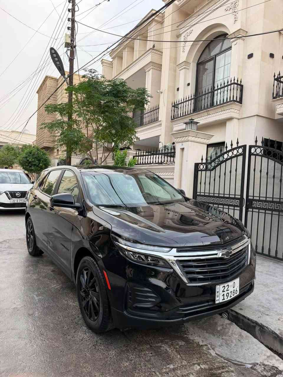 ايكونيكس ٢٠٢٤ • بدون صبغ • رقم اربيل